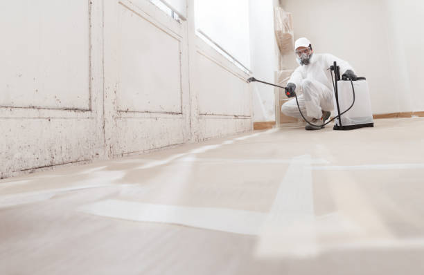 24/7 Emergency Mold Remediation experts in Bryantown, MD